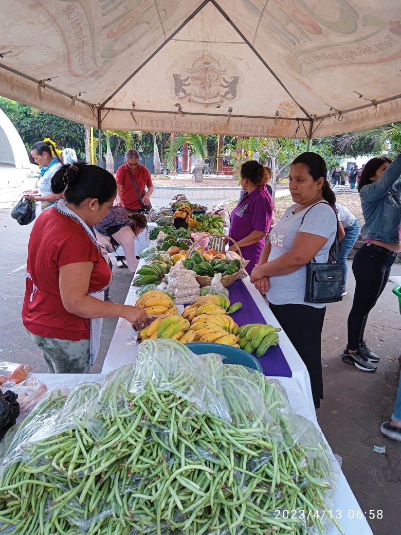 Mercadito Solidario Agroecológico 